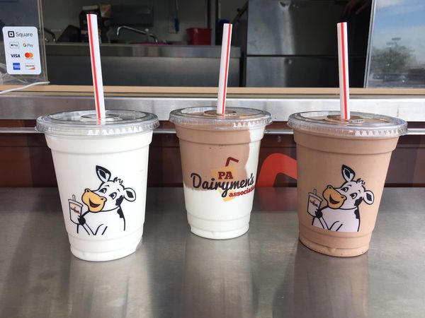 Wholesale milkshake cups for Fun and Hassle-free Celebrations